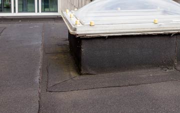 disadvantages of Alvanley flat roofs